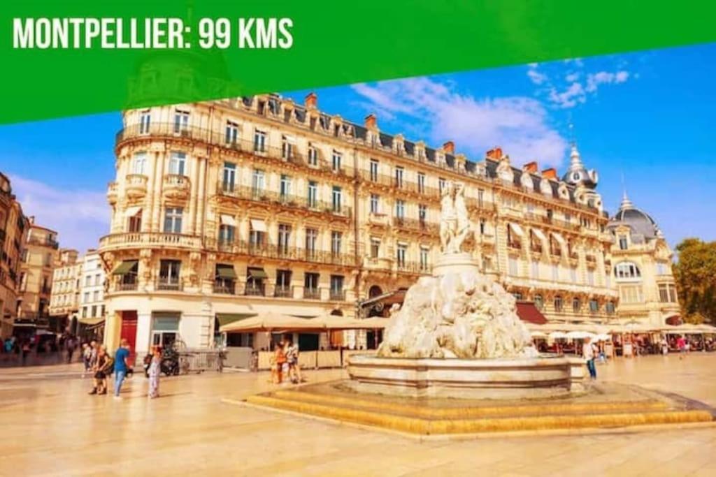 Le Noe - Ac Clim - Wi-Fi Lägenhet Avignon Exteriör bild